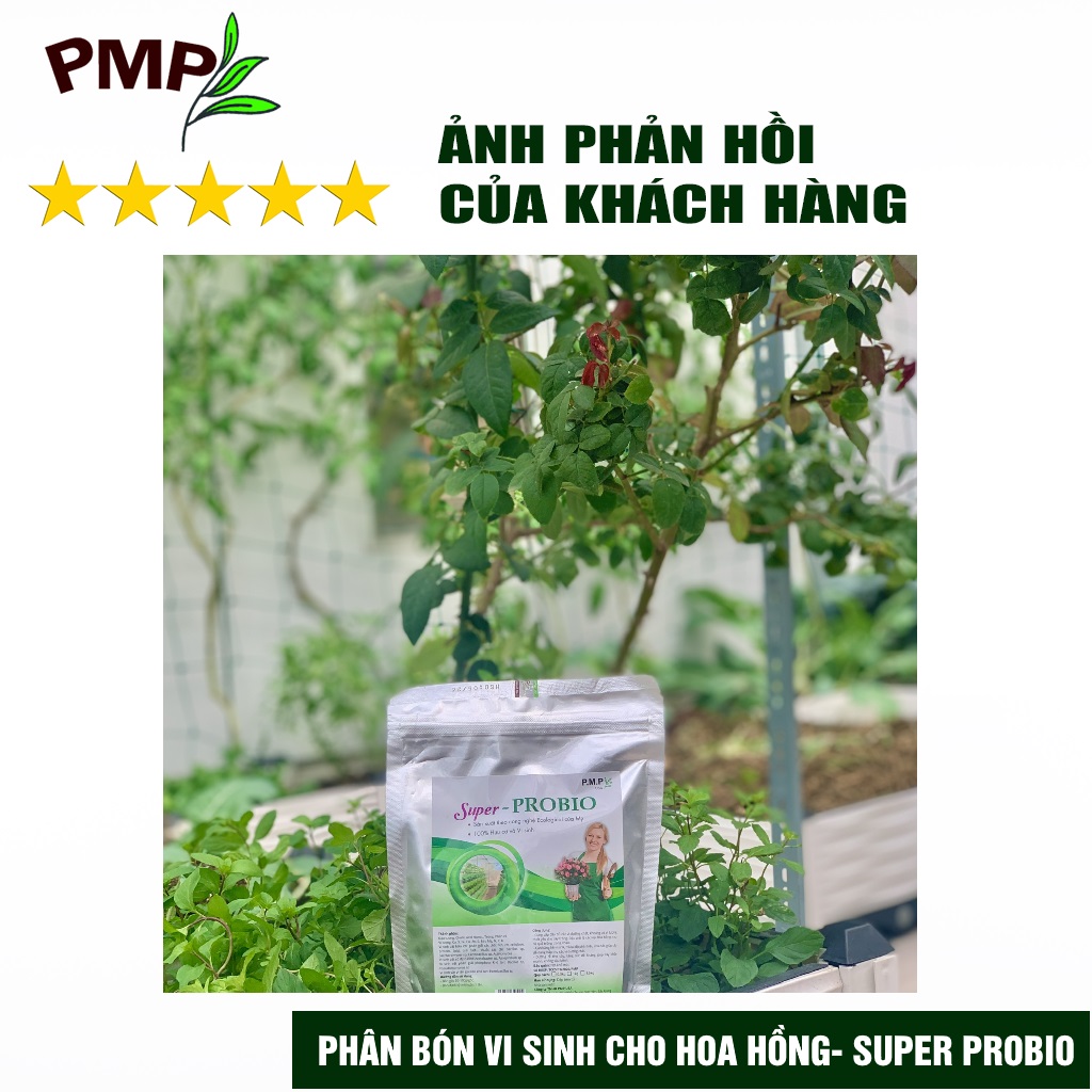 Combo Phân Hữu Cơ Cao Cấp Super Probio &amp; Giá Thể Bã Mía Cho Hoa Hồng, Rau Sạch, Cây Cảnh