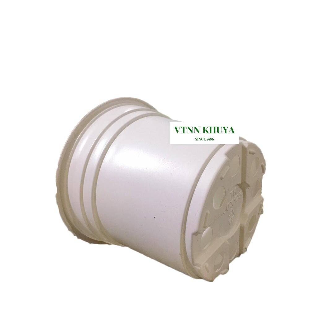 Chậu nhựa trồng cây PP 150x125mm
