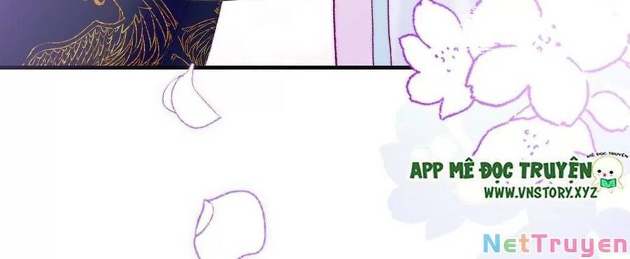 lại bị bệnh chiều chuộng quấn lấy chapter 80 57