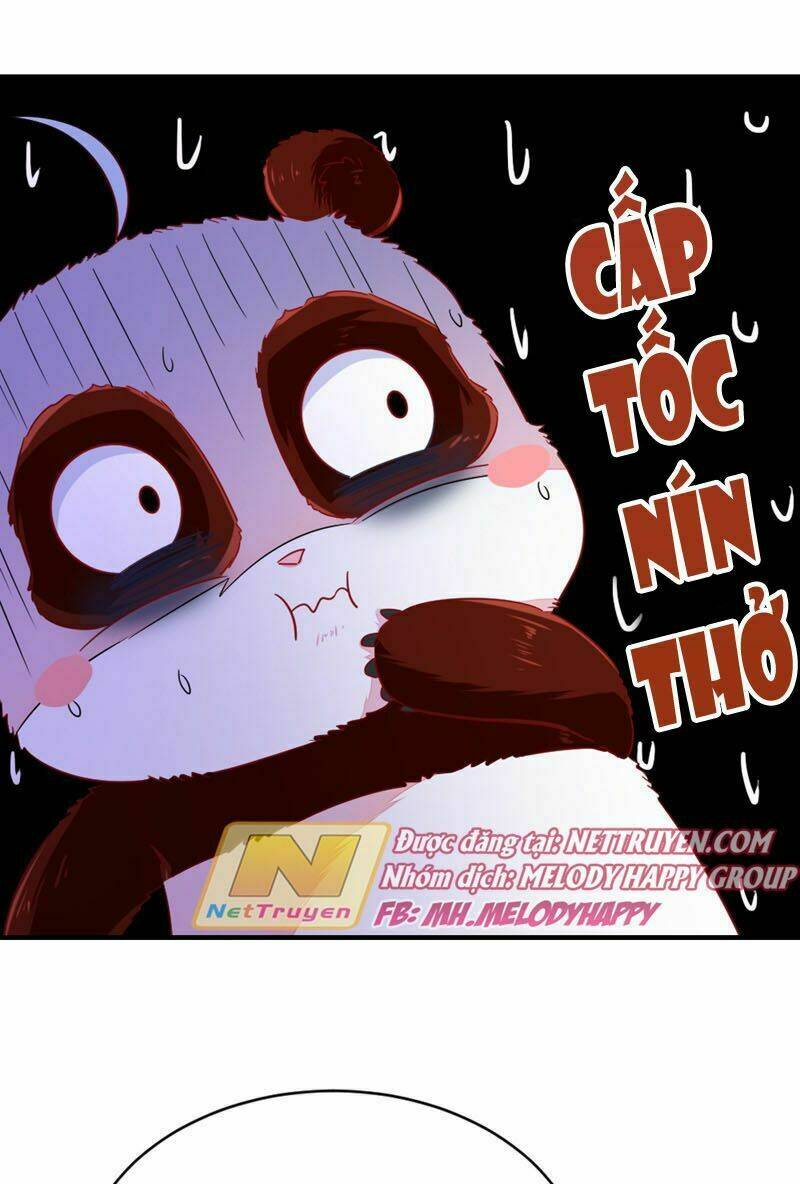 thiên thần gấu trúc muốn được ôm chapter 38 13