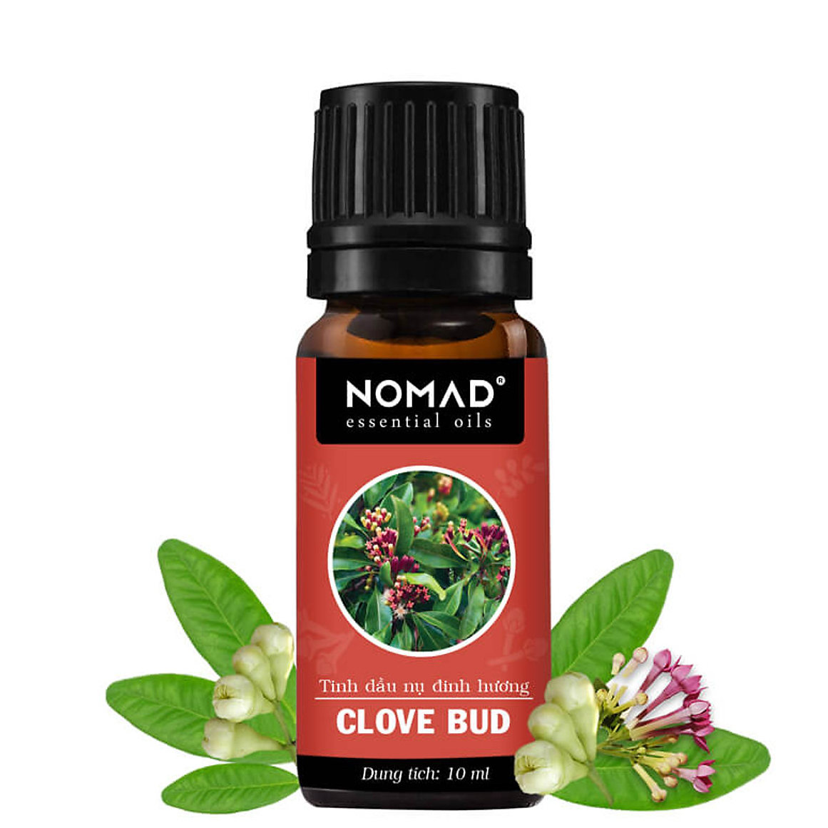 Tinh Dầu Thiên Nhiên Đinh Hương Nomad Essential Oils Clove Bud
