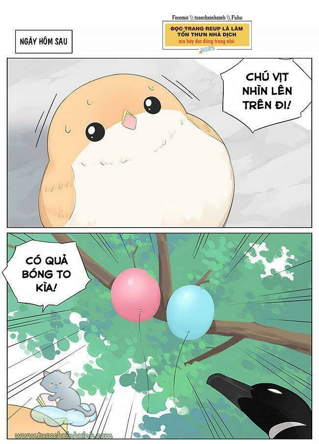 chim sẻ gọi ngỗng trời chapter 11 7