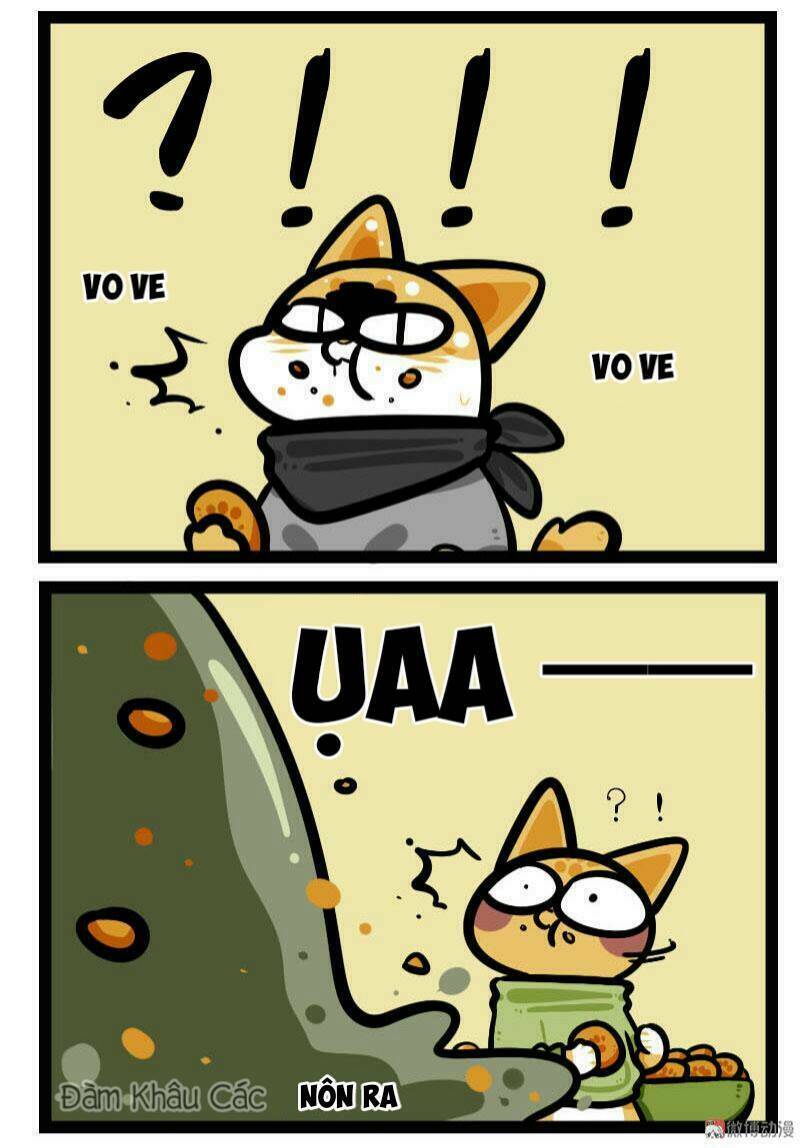 đời không như mình tưởng chapter 63 7