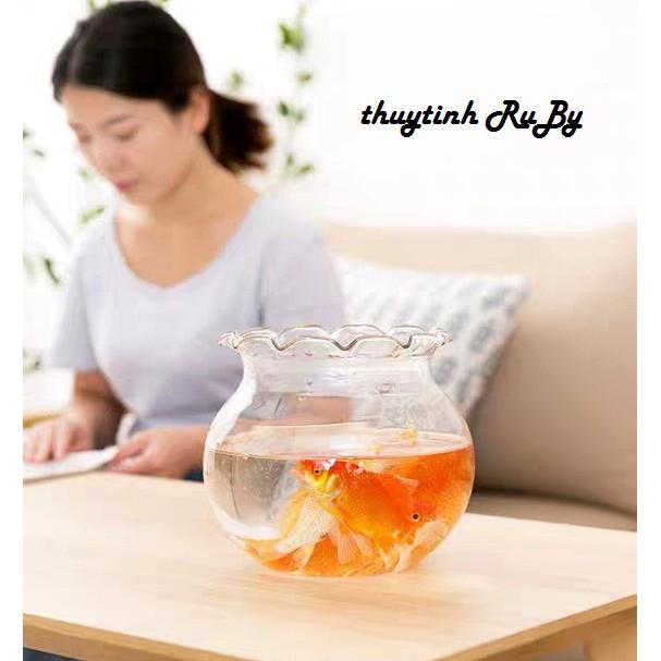 Bể Cá Thủy Tinh Để Bàn, Hồ Cá Mini, Chậu Cây Thủy Sinh B11