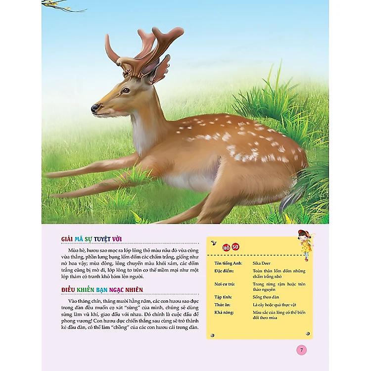 Sách Bách Khoa Toàn Thư Tìm Hiểu Về Trái Đất - ảnh 8