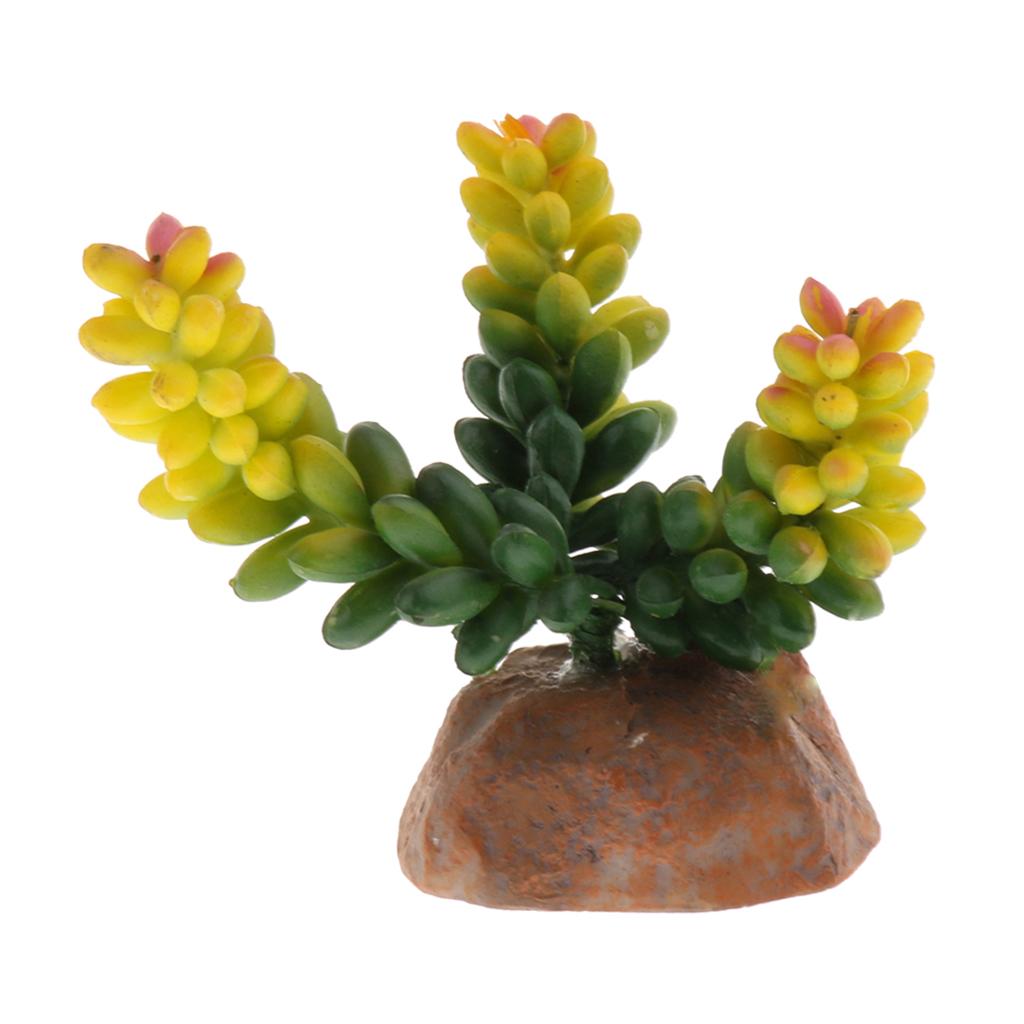 2x Terrarium Fake Succulent Plant Reptile Vivarium Landscaping Decor