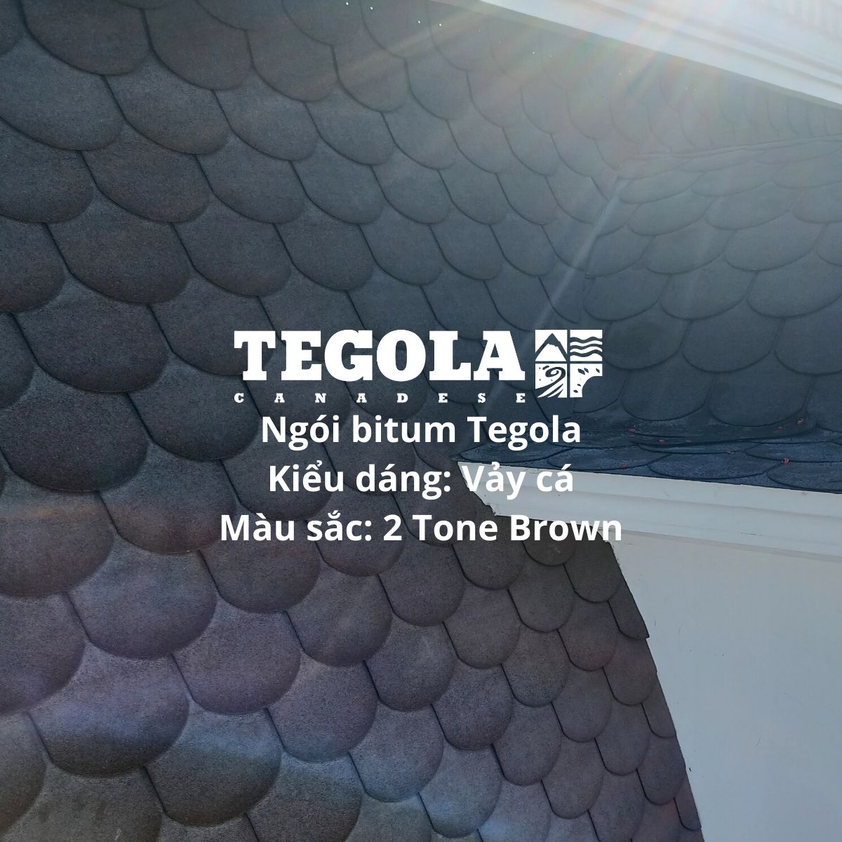 Ngói bitum Tegola - vảy cá - 2 tone brown - ngói lợp vảy cá Italia màu nâu cho biệt thự, nhà gỗ, mái thái, mái nhật, nhà tiền chế... đóng gói 3.05m2/gói