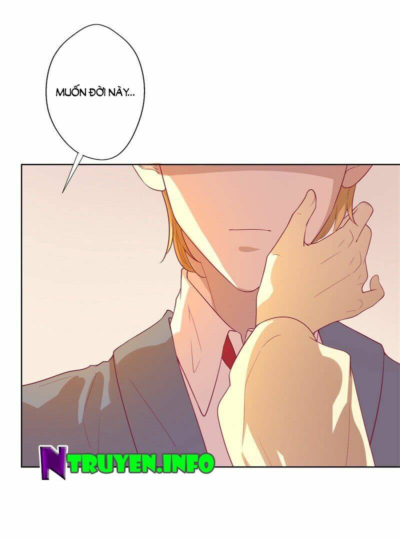 ngạo kiều tổng tài sủng điềm thê chapter 31 10
