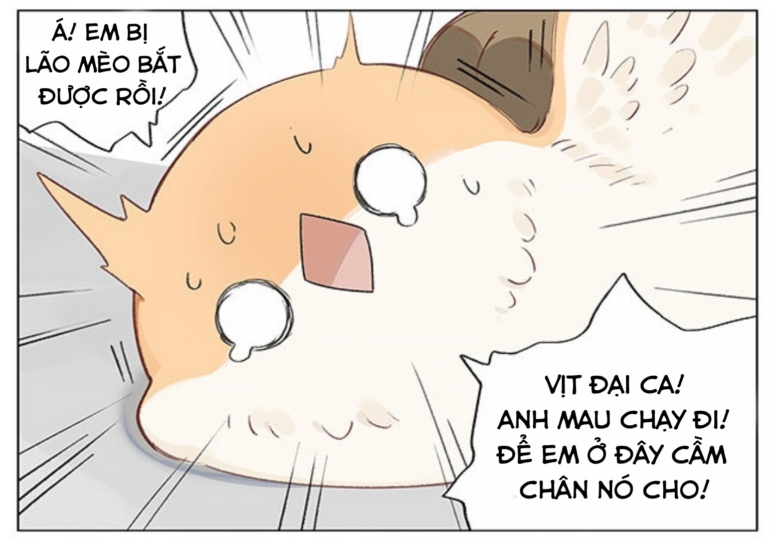 sẻ chiếu mới và nhạn phong sương chapter 1 8