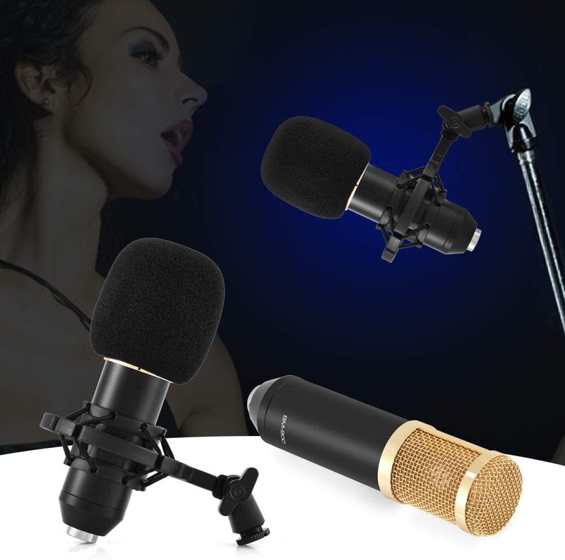 Micro karaoke thu âm chuyên nghiệp BM900