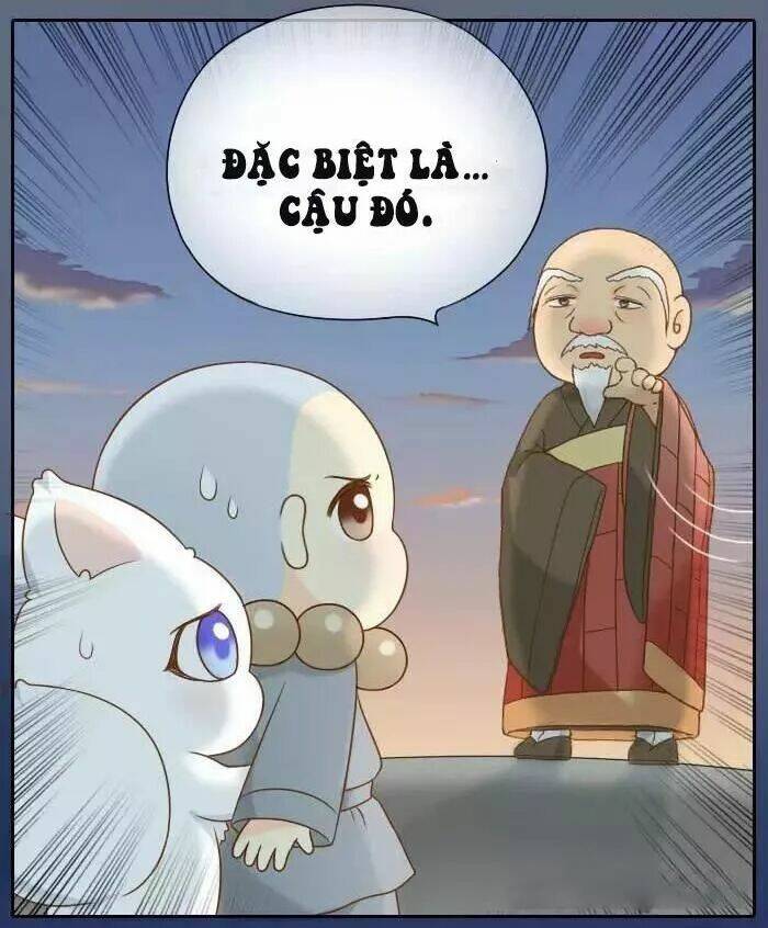 tiểu hồ ly vs tiểu hóa thượng chapter 60 5