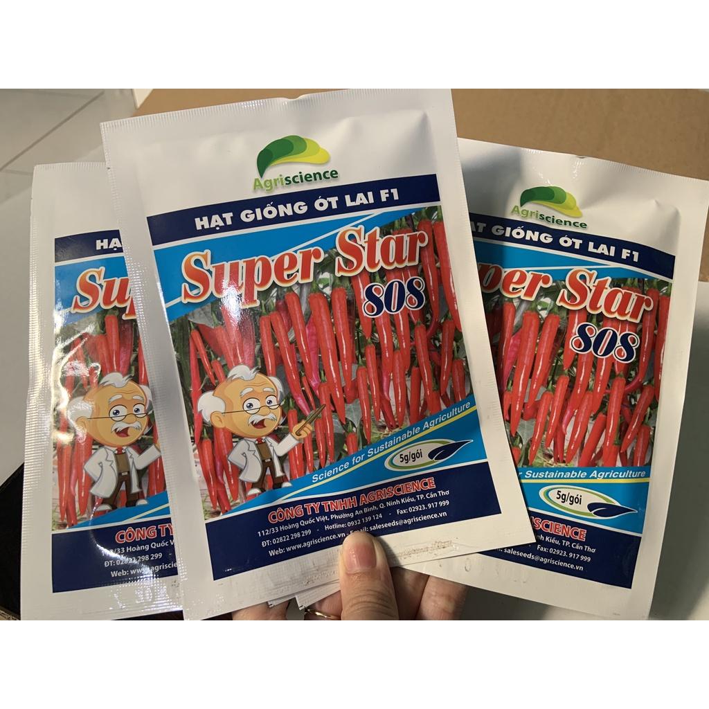 Hạt Giống Giống ớt chỉ địa lai F1 Agri Star 808
