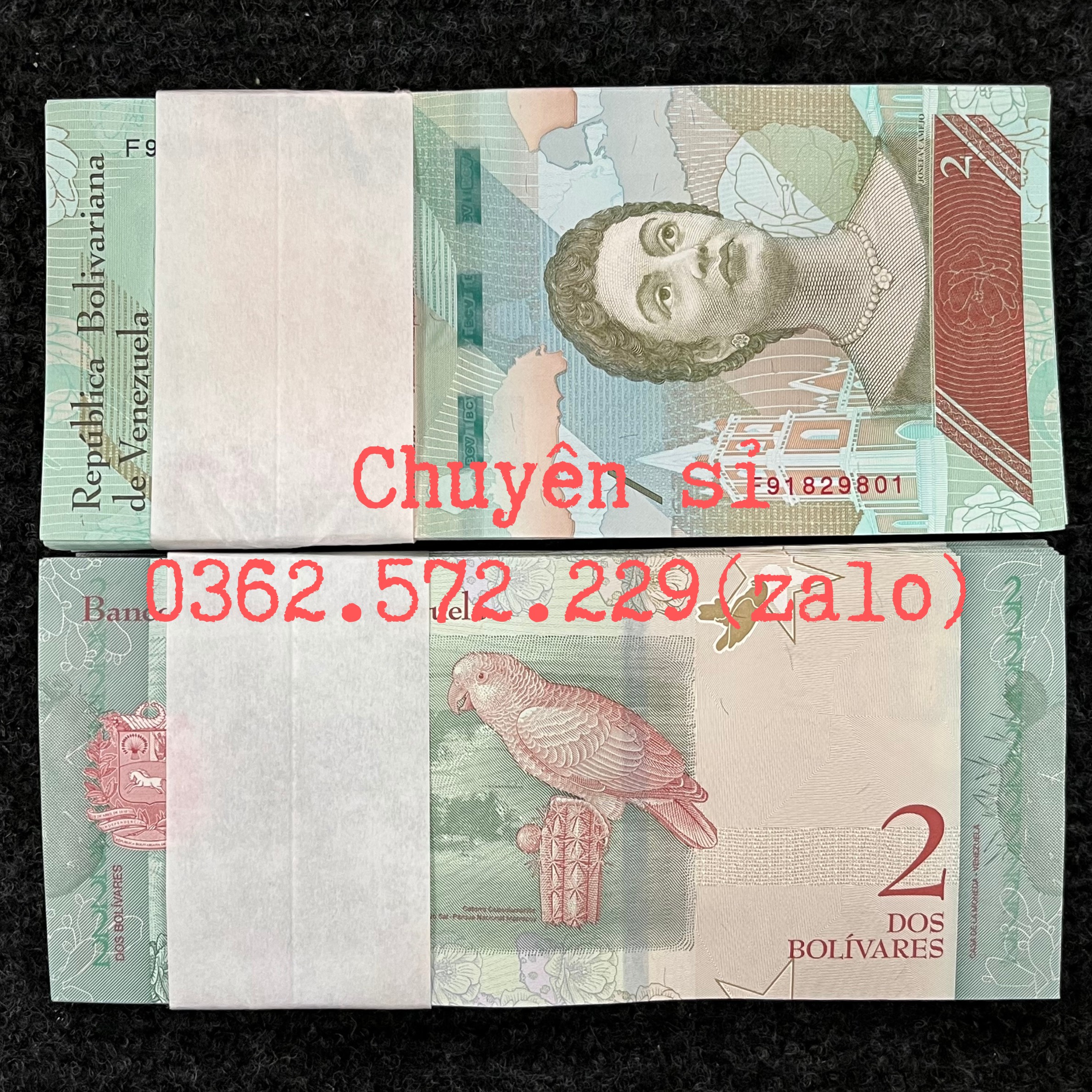 Combo 10 Tờ  Tiền 2 Bolivares của Venezuela hình con chim két tiền châu Mỹ , Mới 100% UNC