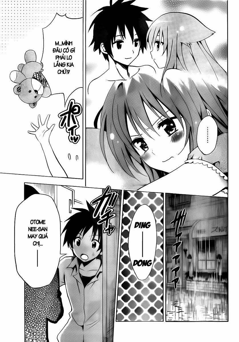 mayoi neko overrun! chapter 1 45