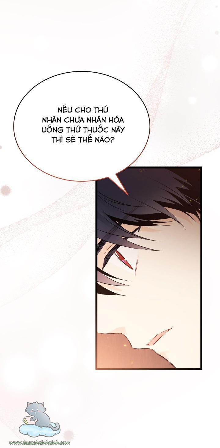 quan hệ cộng sinh giữa báo đen và thỏ trắng chapter 57 48