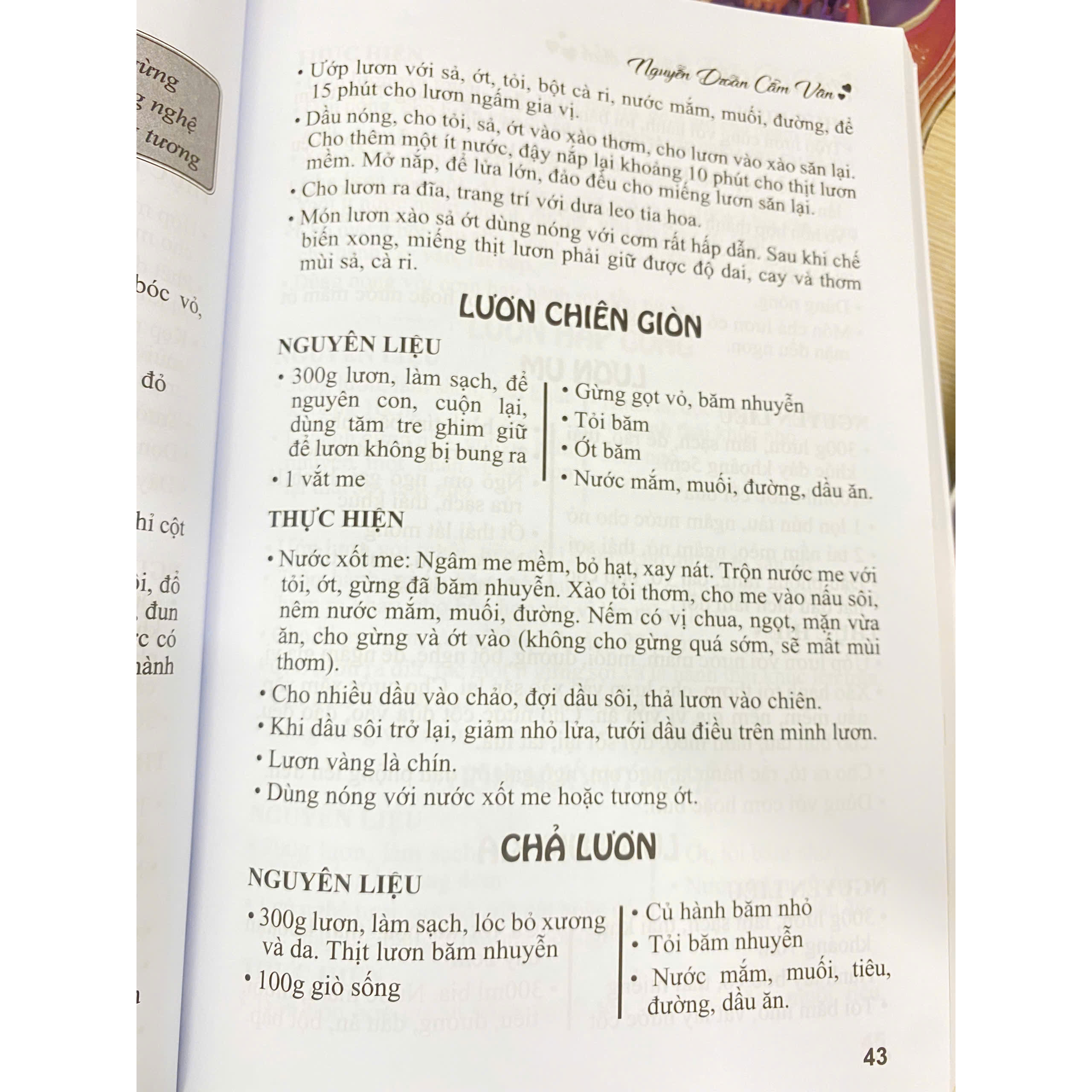 Ấn phẩm mừng sinh nhật 20 năm Việt Thư books - Món Ăn Được Nhiều Người Ưa Thích (Món ăn Bắc - Trung - Nam)
