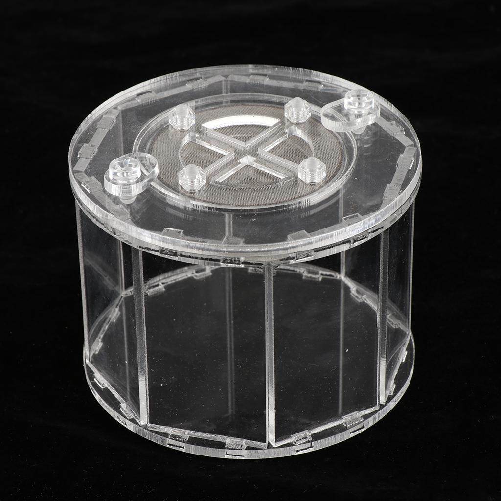 Spider Insect Reptile Tank Vivarium Cage Box Transparent Acrylic Terrarium