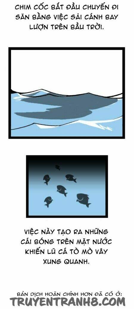 earth, human, and animal chapter 20 21