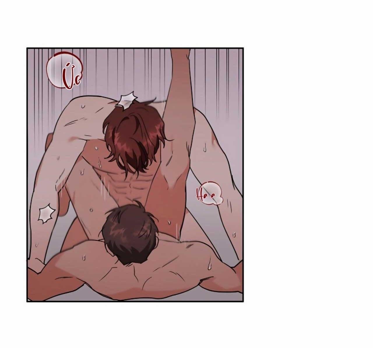 sói già và cáo nhỏ chapter 2 41