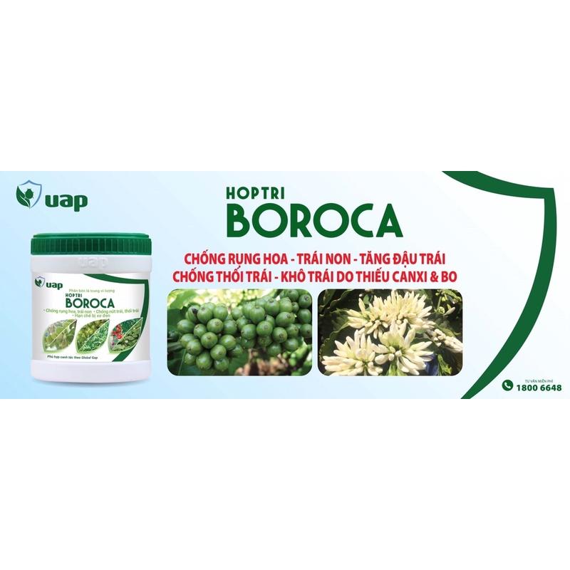 Phân bón lá Hợp Trí cung cấp Canxi và Bo