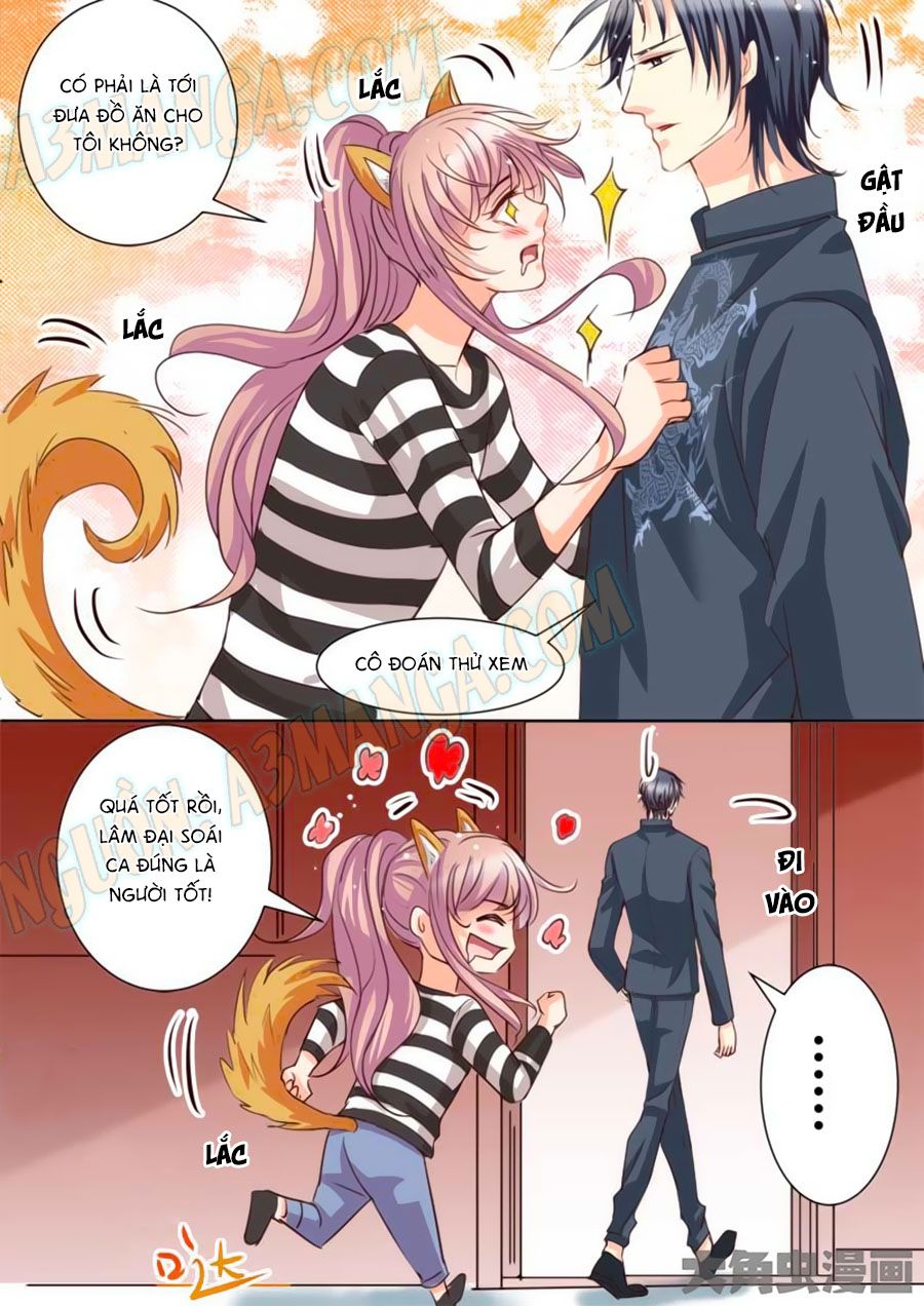 Bá Đạo Tổng Tài Yêu Ta chapter 24 - Trang 6