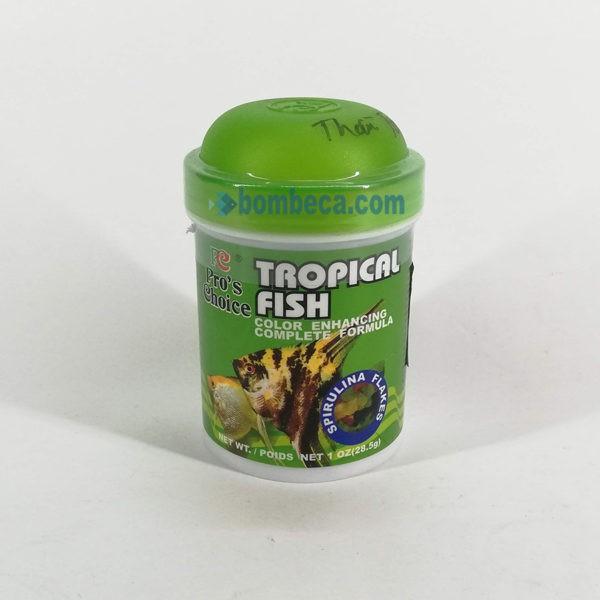 Thức ăn dành cho cá thần tiên