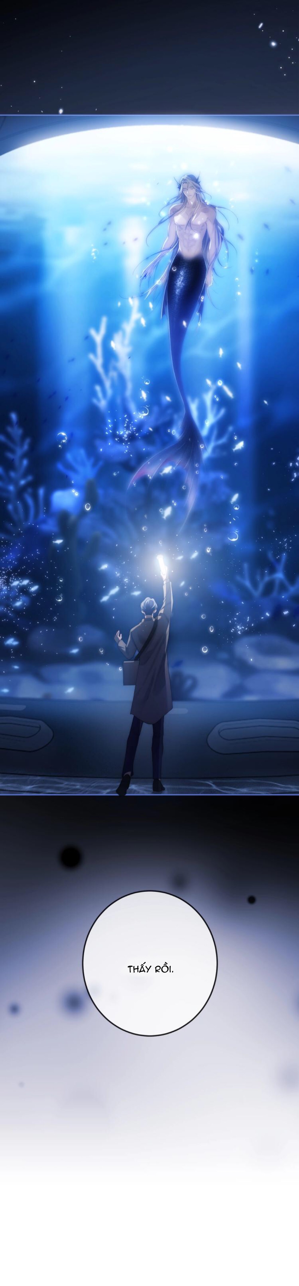 nhân ngư dessaro chapter 2 16