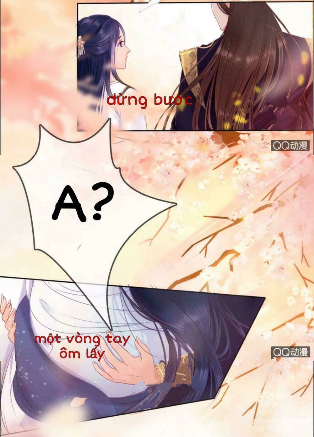 sủng phi của vương chapter 21 4