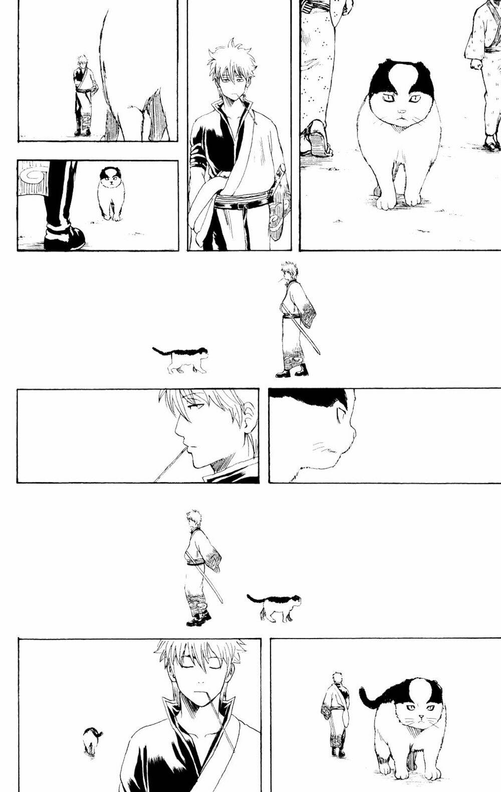 gintama - linh hồn bạc chapter 279 21
