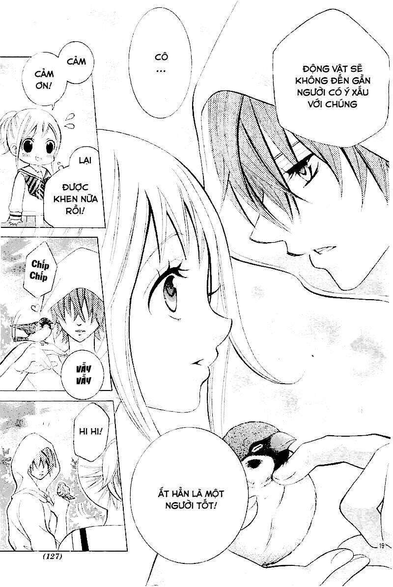 cuộc gặp gỡ diệu kỳ chapter 28 20