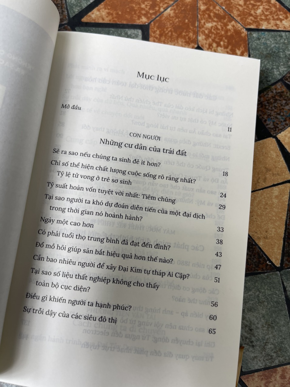 NHỮNG CON SỐ BIẾT NÓI - 71 câu chuyện phơi bày sự thật về thế giới chúng ta đang sống - Vaclav Smil – Trịnh Thu Hằng dịch – AD Việt Nam– NXB Thế Giới