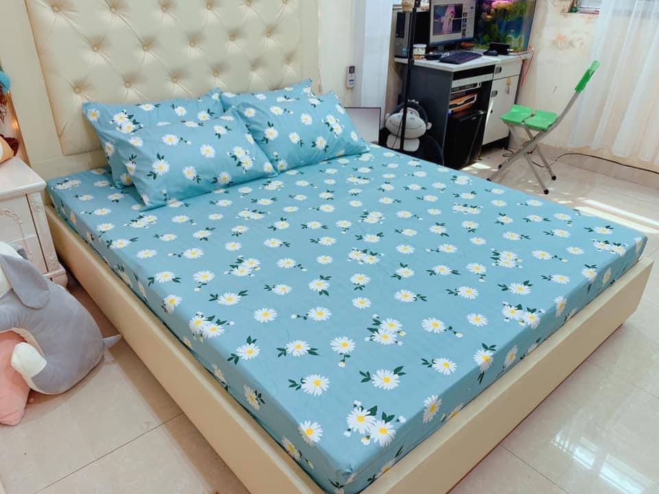 SÉT GA CHUN Và VỎ GỐI COTTON POLY 3D - HOA CÚC XANH