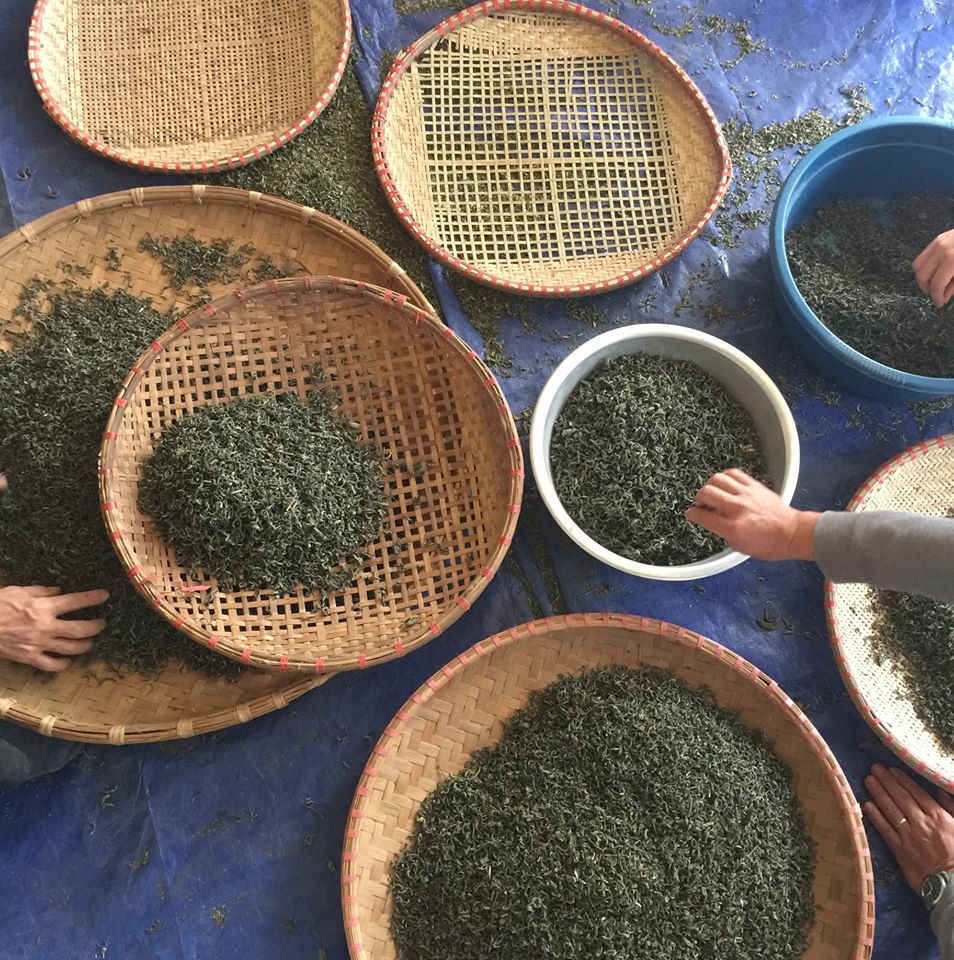 Trà Đặc Biệt Tuyết Shan Cổ Thụ Trà 8938514059028