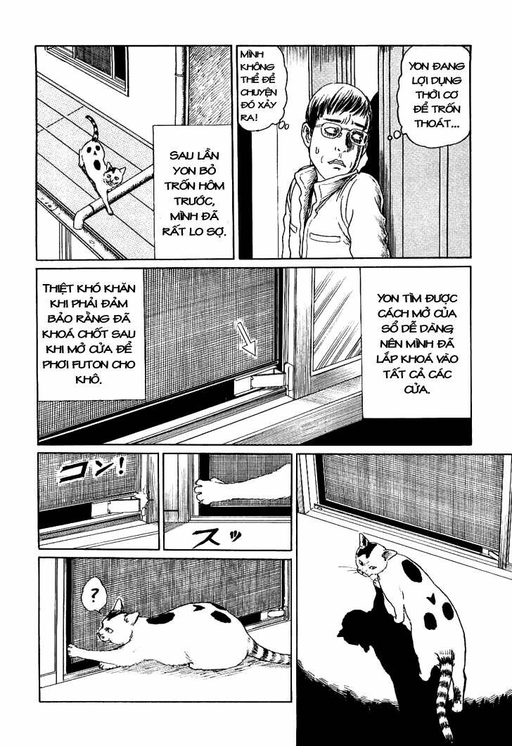 ito junji cat's diary chapter 7 2