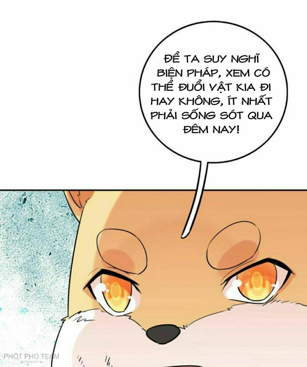 hôm nay lại cũng không thể biến thành người được chapter 6 44