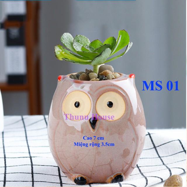 Chậu Cú mèo mini bằng sứ