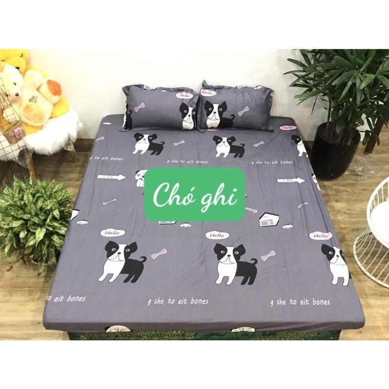 Combo Ga gối poly bộ ga gối cotton ngộ nghĩnh đáng yêu, bo chun drap ga giường