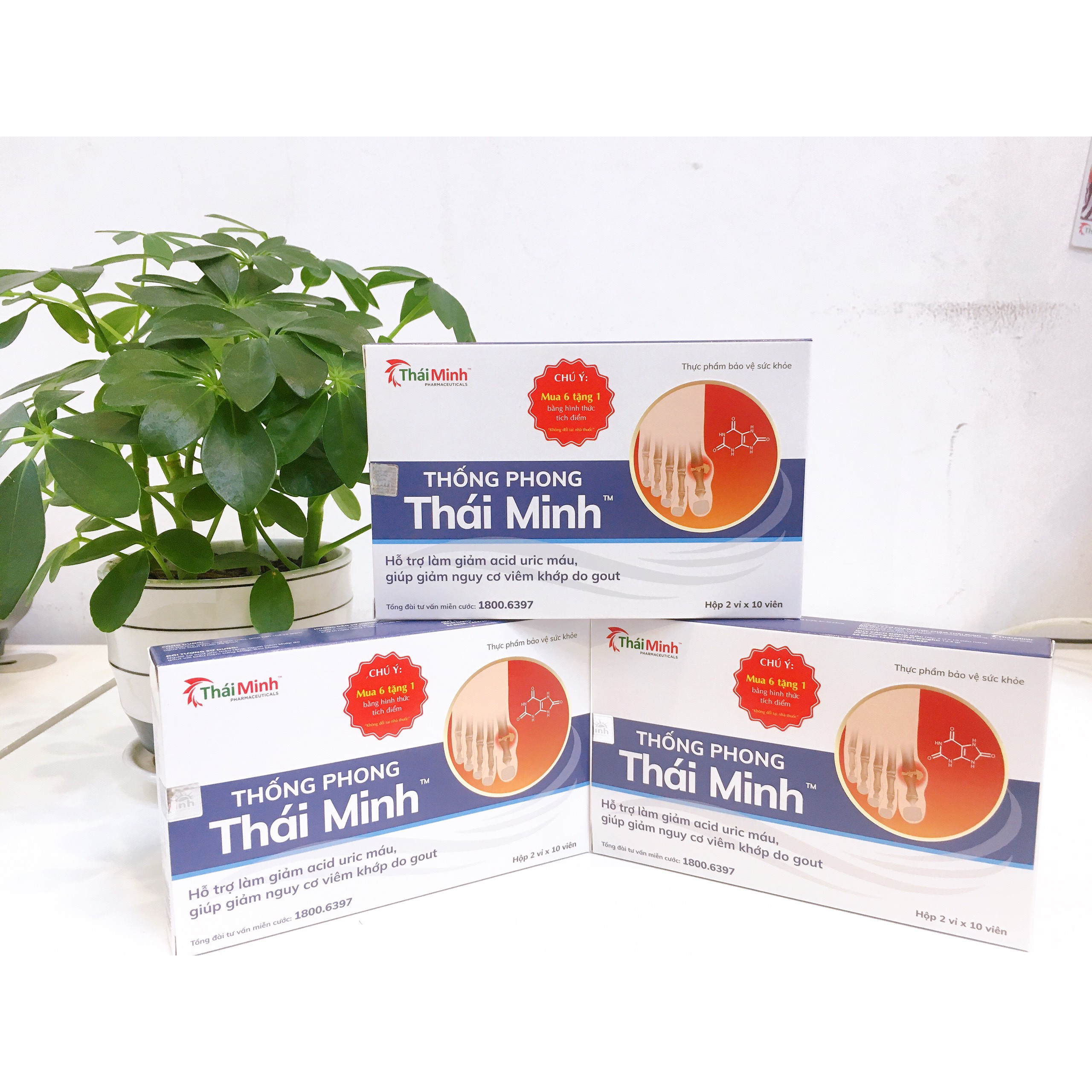 Combo 6 hộp Thống Phong Thái Minh