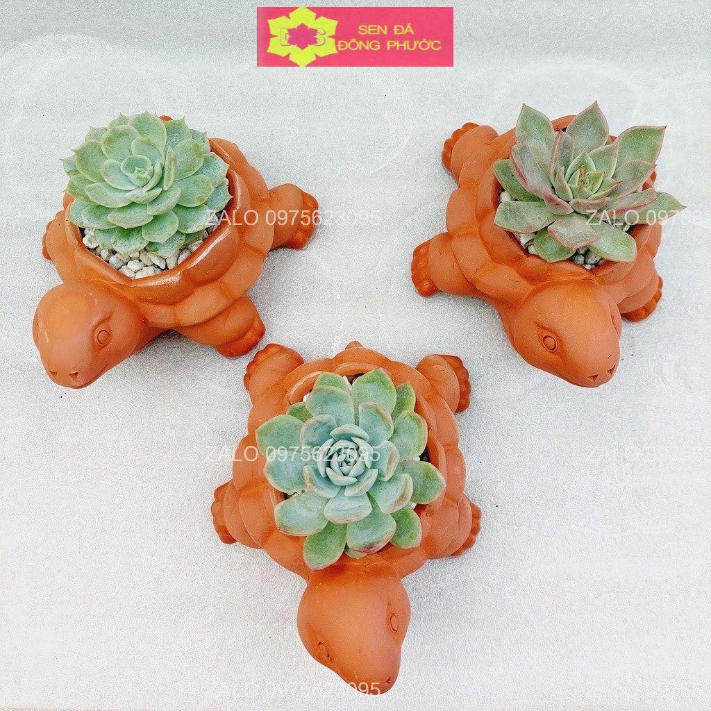 Chậu đất nung hình Cún con 8x8cm - chậu trồng tiểu cảnh sen đá, xương rồng, cây phong thuỷ văn phòng đẹp