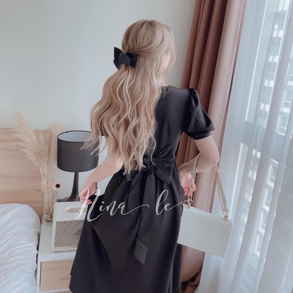 Váy đầm nữ cổ tròn dáng xòe kiểu dáng trẻ trung nhã nhặn