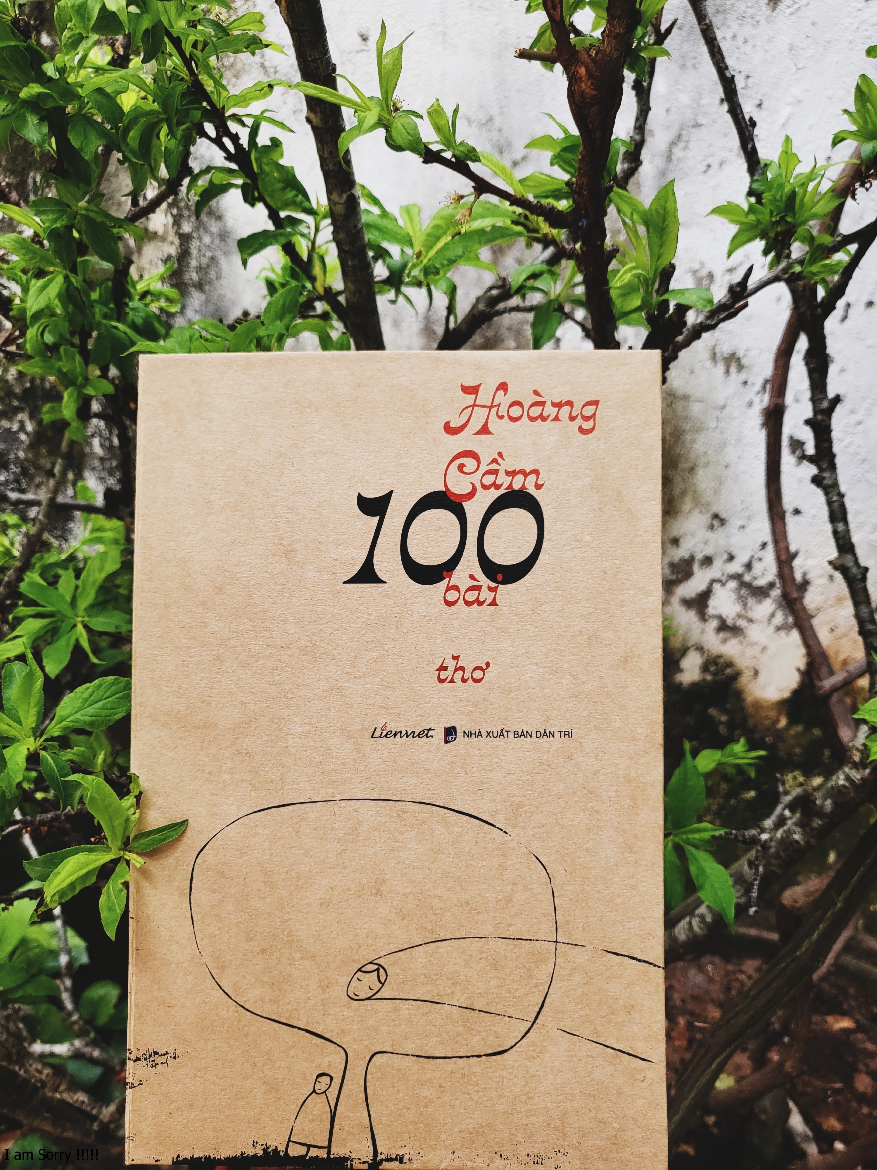 Hoàng Cầm 100 bài - BẢN ĐẶC BIỆT