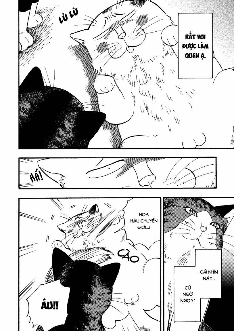 tui là busamen! chapter 7 7