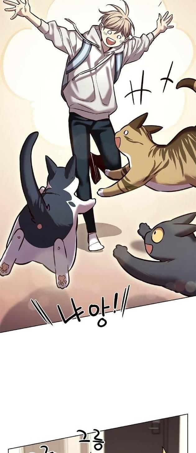 biến thân thành mèo chapter 239 2