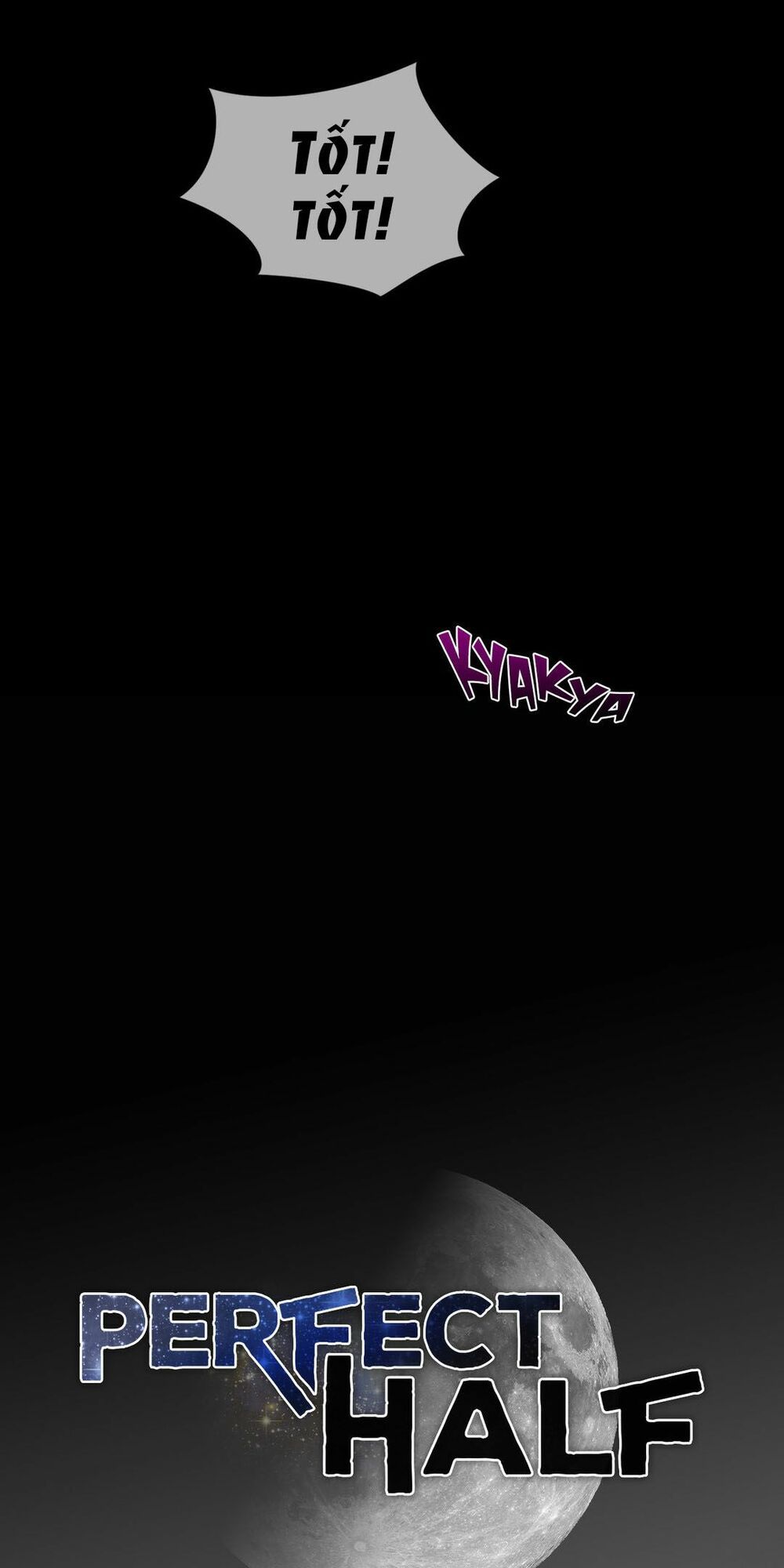 một nửa hoàn hảo chapter 40 5