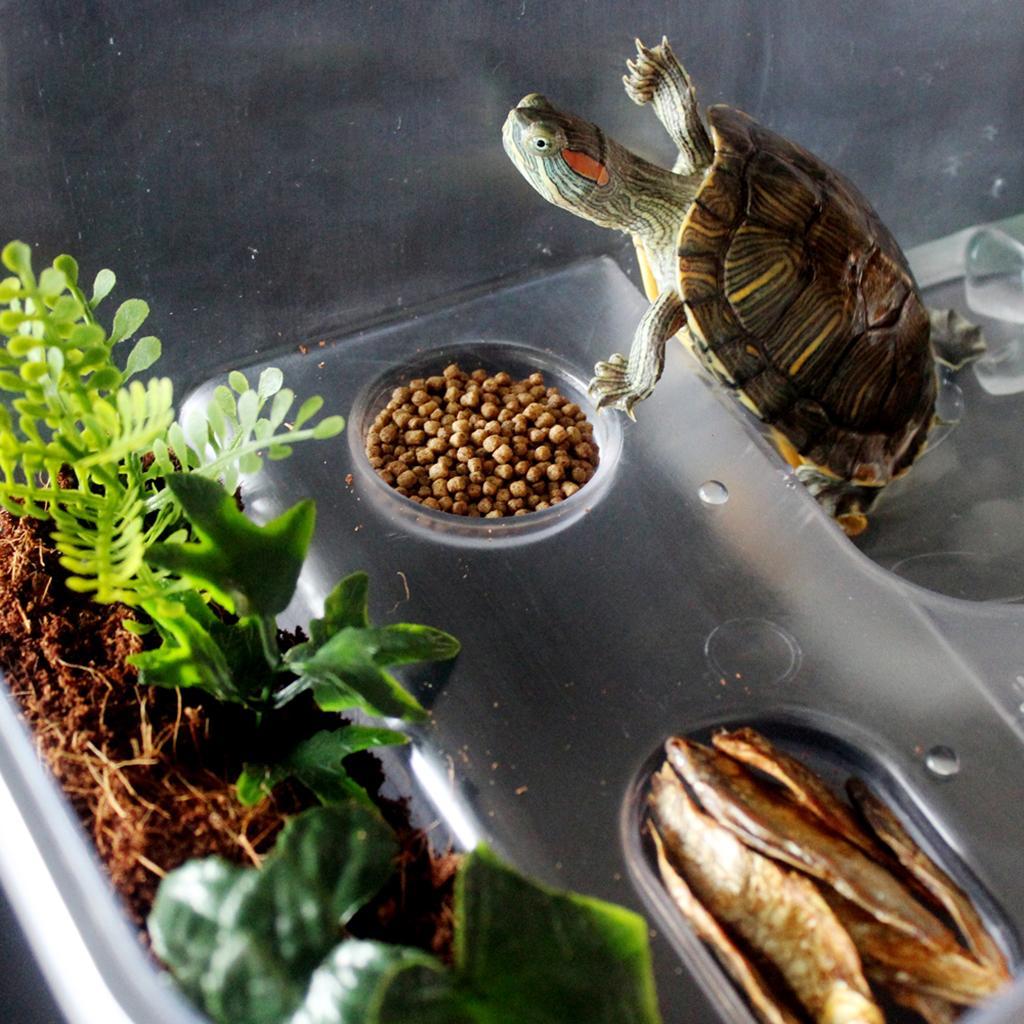 3 Pieces Plastic Reptile Terrapin Tortoise Turtle Tank Vivarium Feeding Box