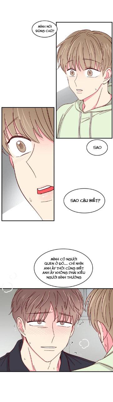 món tráng miệng của sếp tổng chapter 55 15