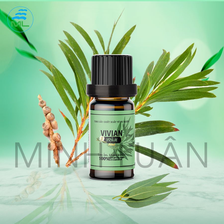 Tinh dầu tràm thiên nhiên Vivian 10 ml