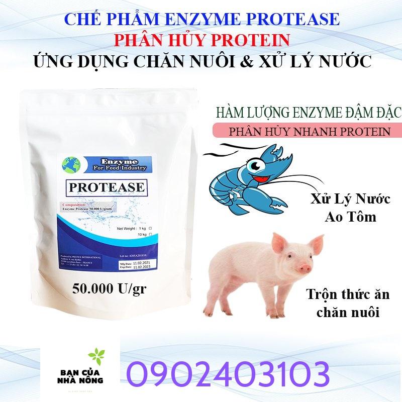 100g-Enzyme Protease Nguyên Liệu #gói 100g .