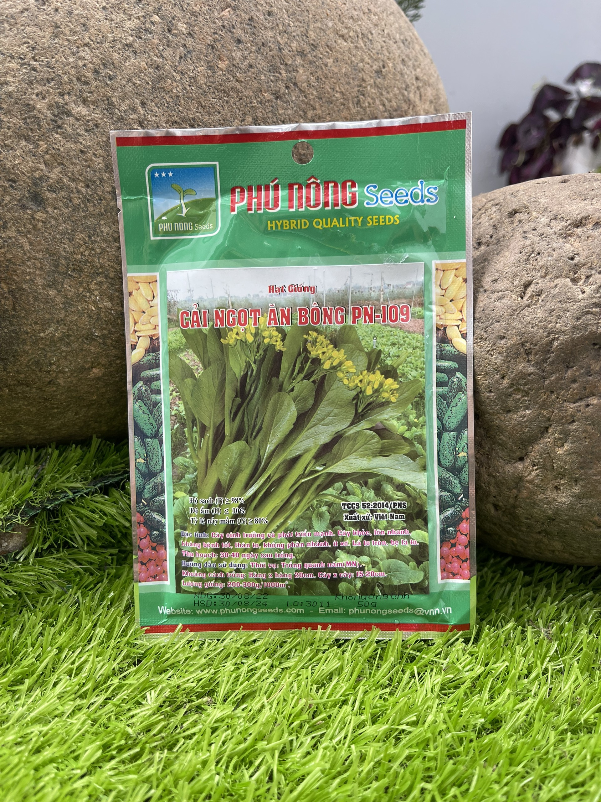 Hạt giống cải ngọt ăn bông Phú Nông gói 50gr