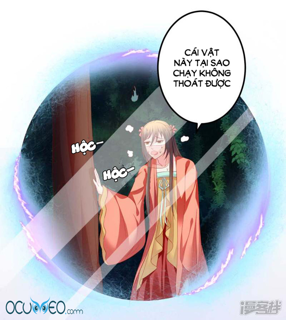 từ đây vương gia không thượng triều sớm chapter 55 6